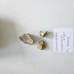 [VIDE]